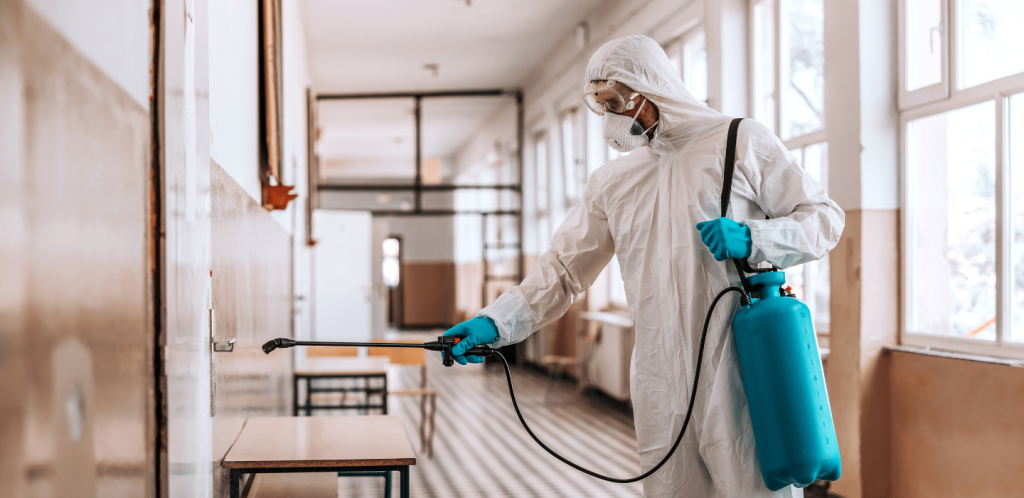 Bed Bug Control